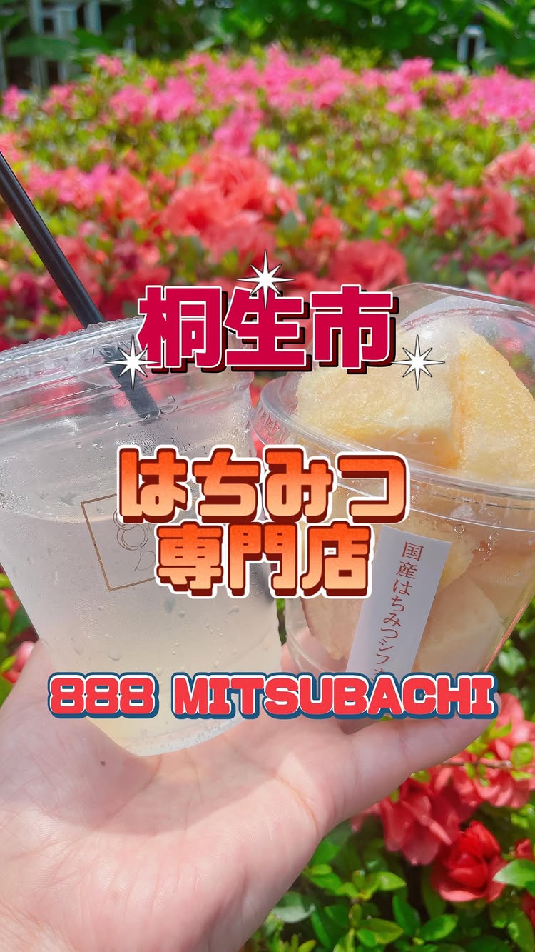888 MITSUBACHI