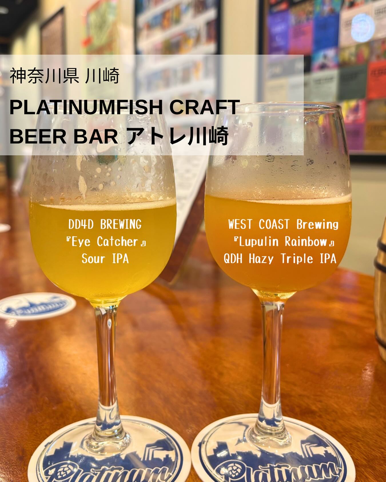 プラチナフィッシュクラフト ビア バル アトレ川崎店