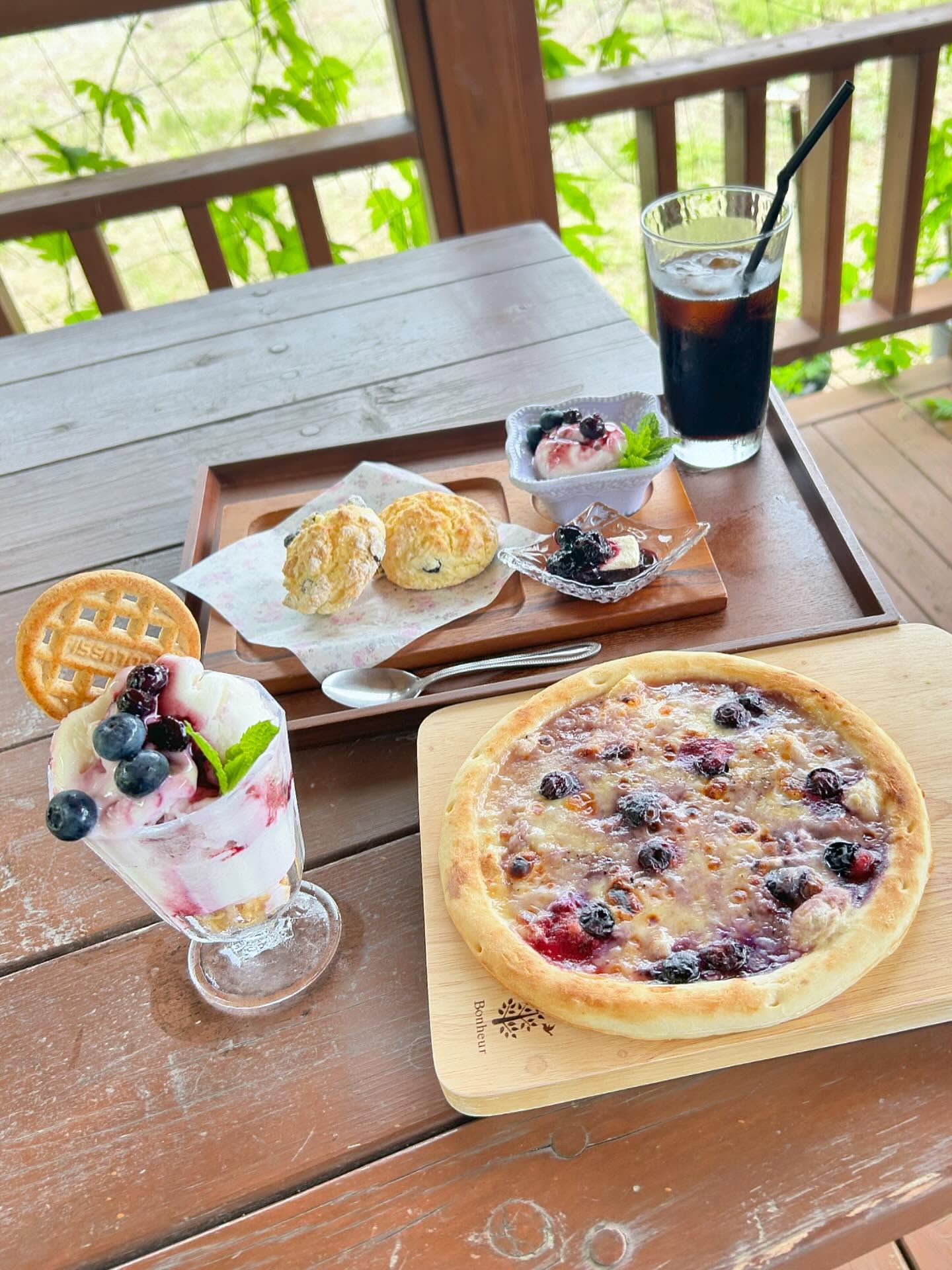 ブルーベリーファームおかざき