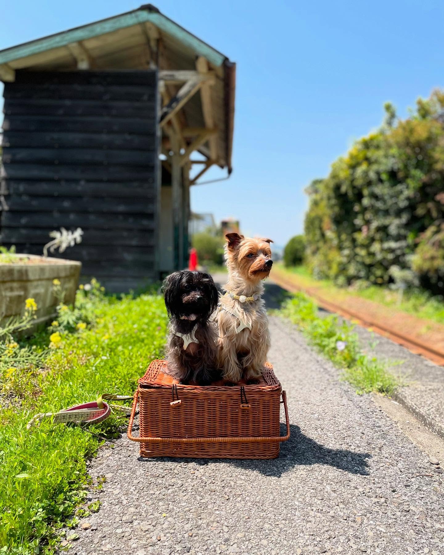 ベッカライ プンクト