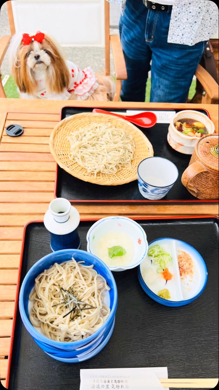 清流の里 気紛れ庵