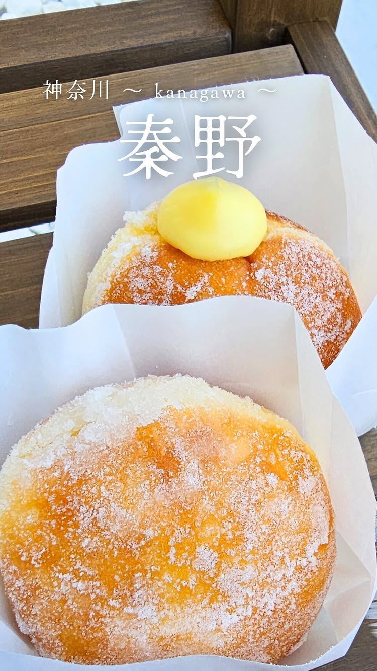 MALASADA ⅲ well