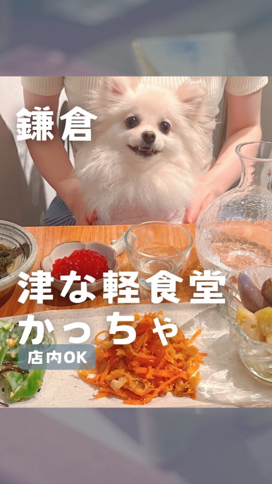 津な軽食堂 かっちゃ