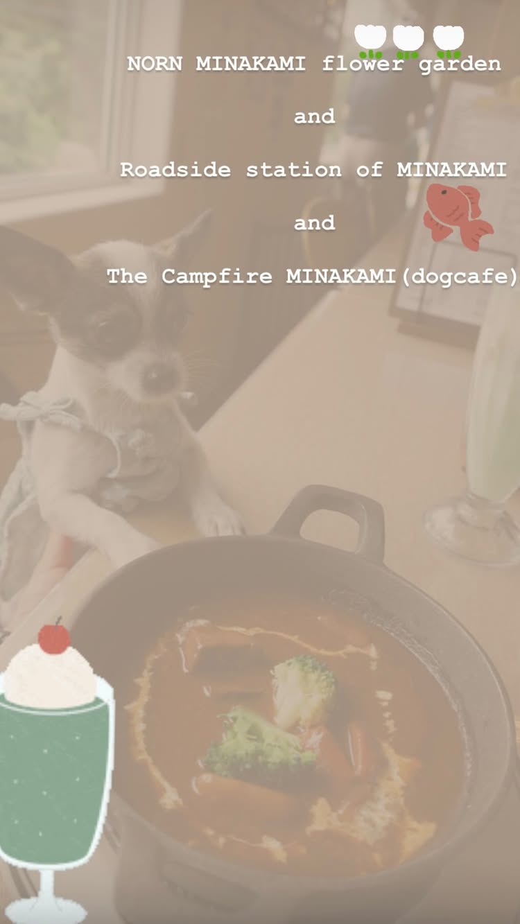 ザ キャンプファイヤー グリル&カフェ バー ミナカミ