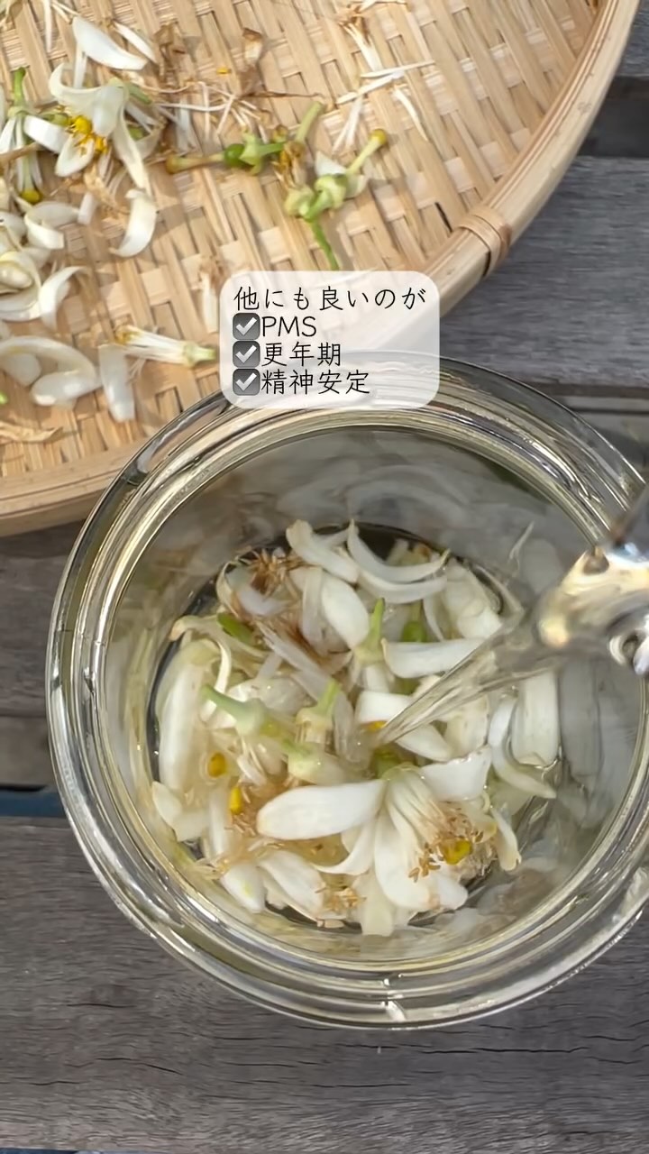 風早茶房