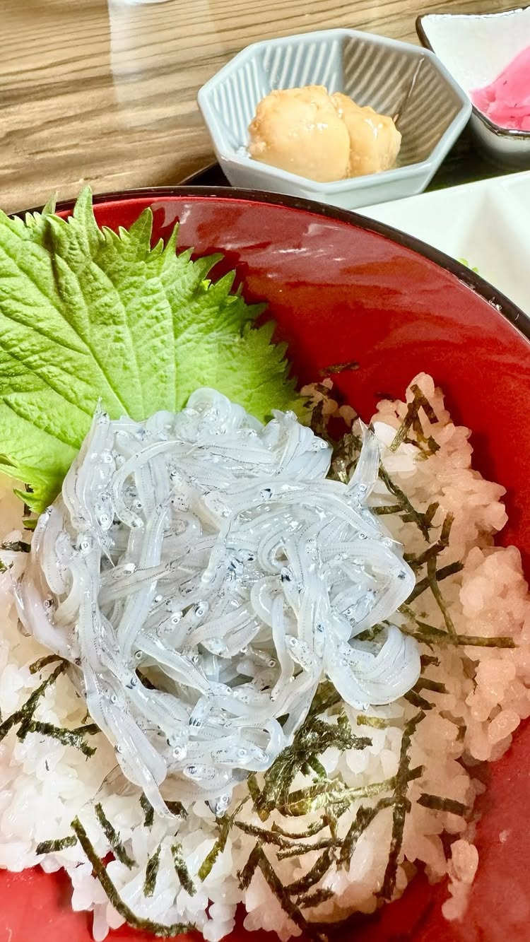 しらす丼屋 桔梗