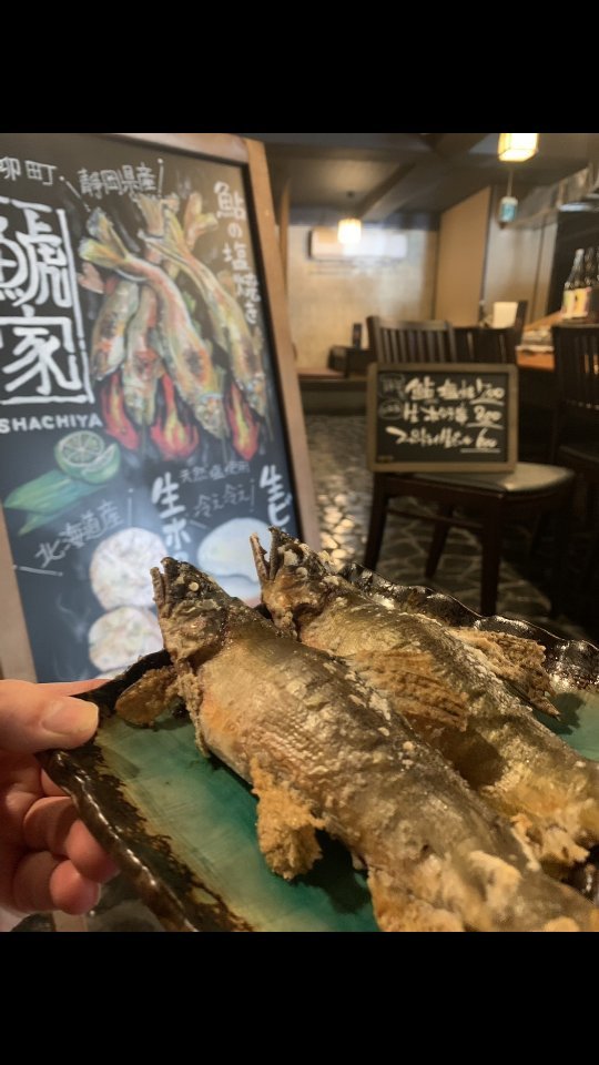 鯱家