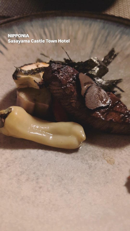 ルアン 篠山城下町ホテル NIPPONIA