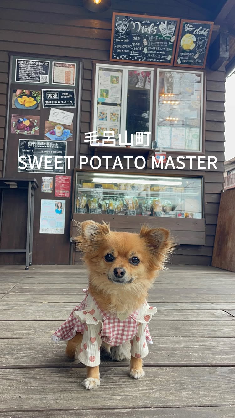 SWEET POTATO MASTER