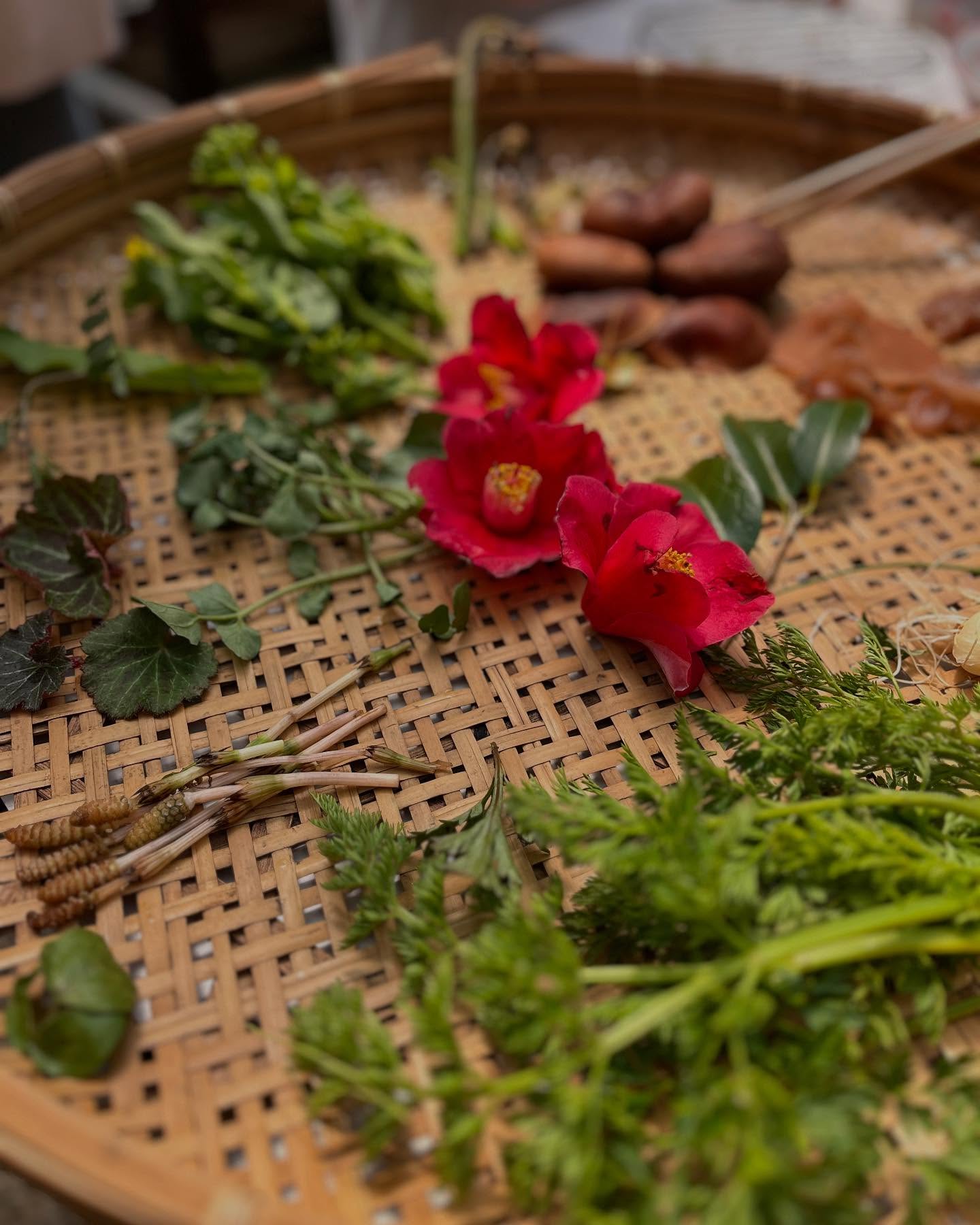 お山のレストラン