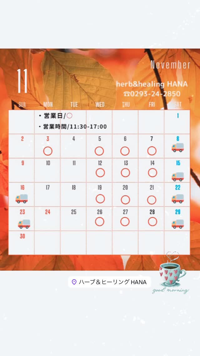 フイユ ド トンヌ