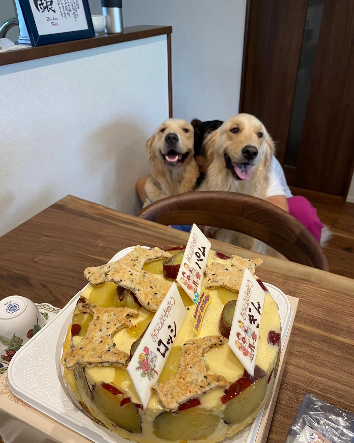 アラペイザンヌ 遠賀店