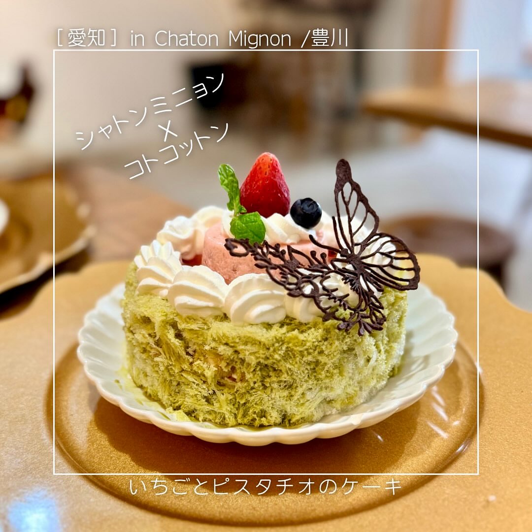 かき氷専門店 コトコットン