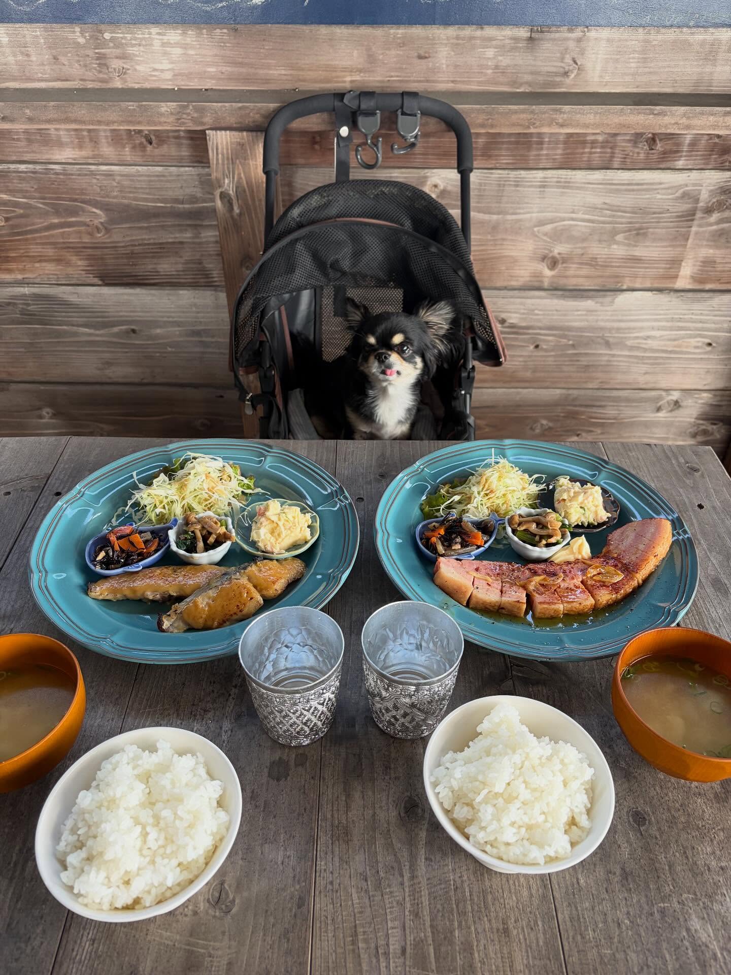 牛窓ジェラート工房 コピオ