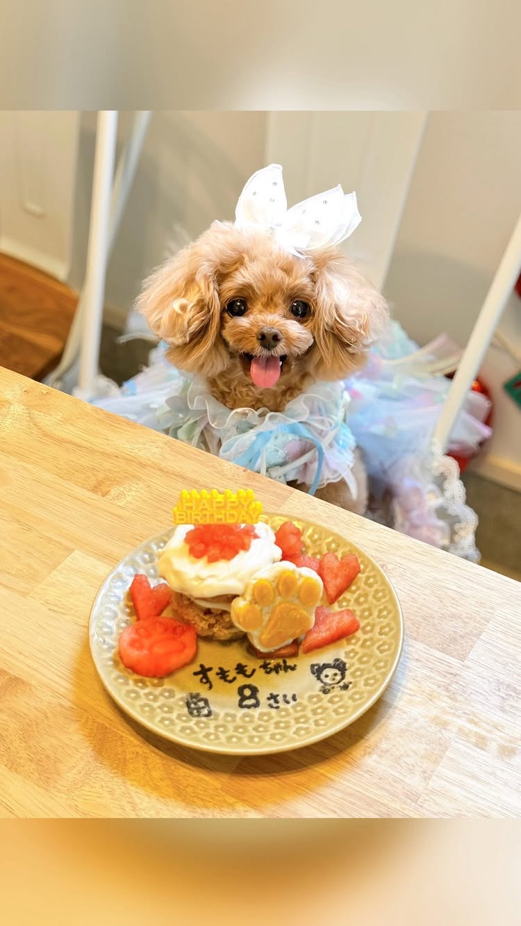 オルトコーヒー ロースターズ 石清水八幡宮店