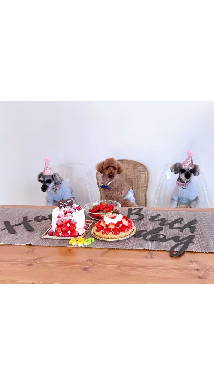 レ フレール ムトウ 岩倉本店