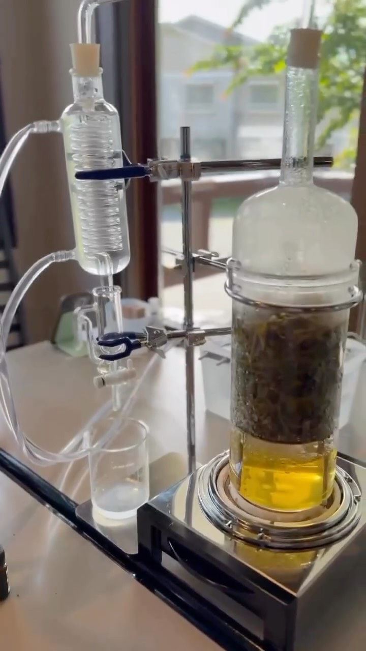 リゾートインヤマイチ