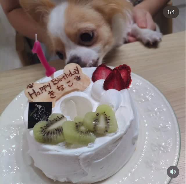 和食・中華 桂翠