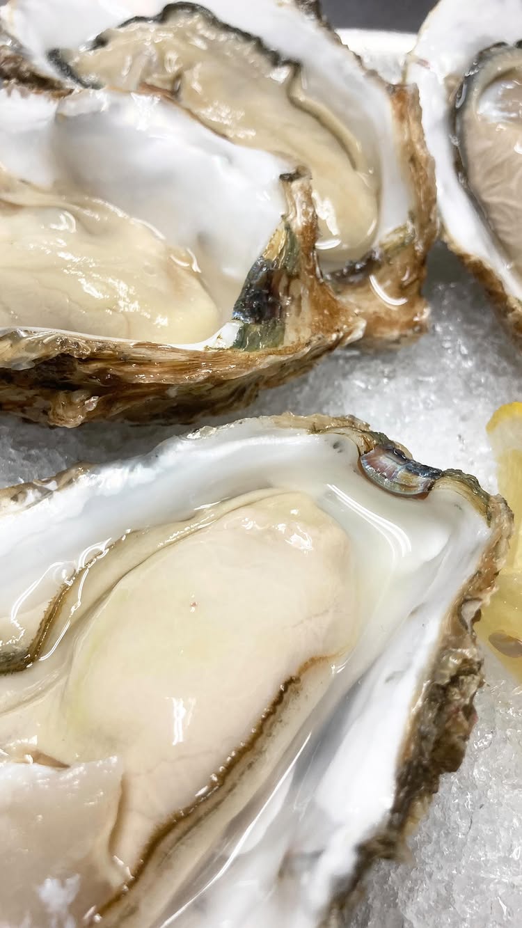 馬肉 都夏 府中