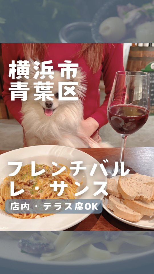 フレンチバル レ・サンス