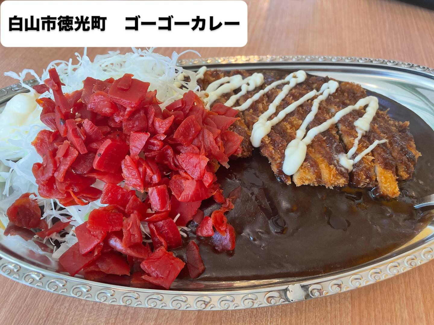 ゴーゴーカレー 松任徳光スタジアム店