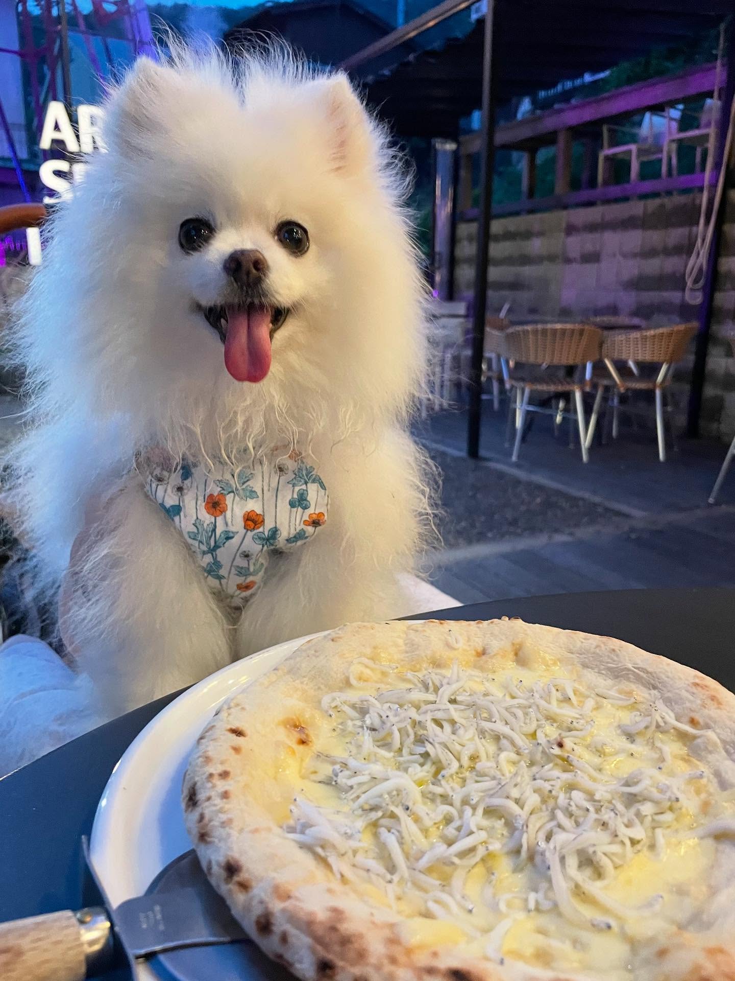 グリドルミーローカル