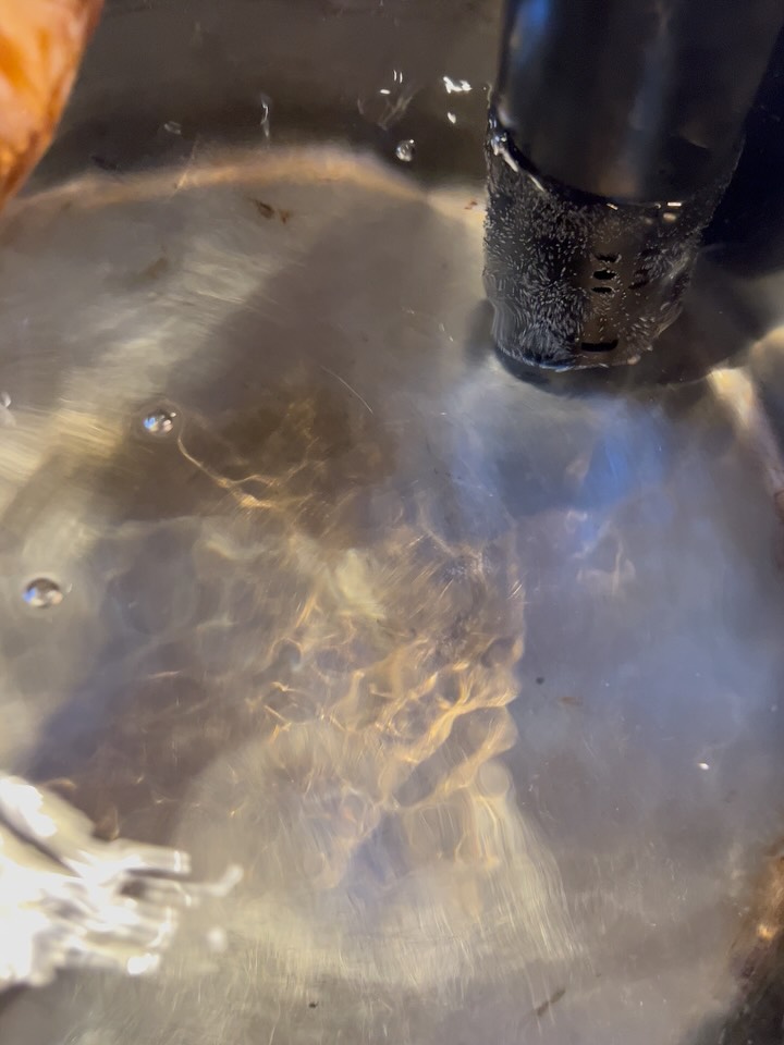 素になれる場所 す