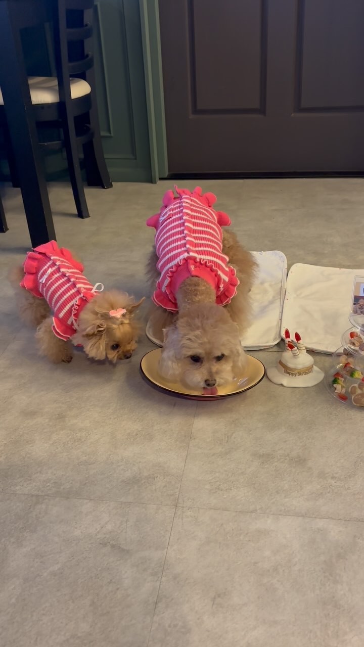 トラットリア グリーン