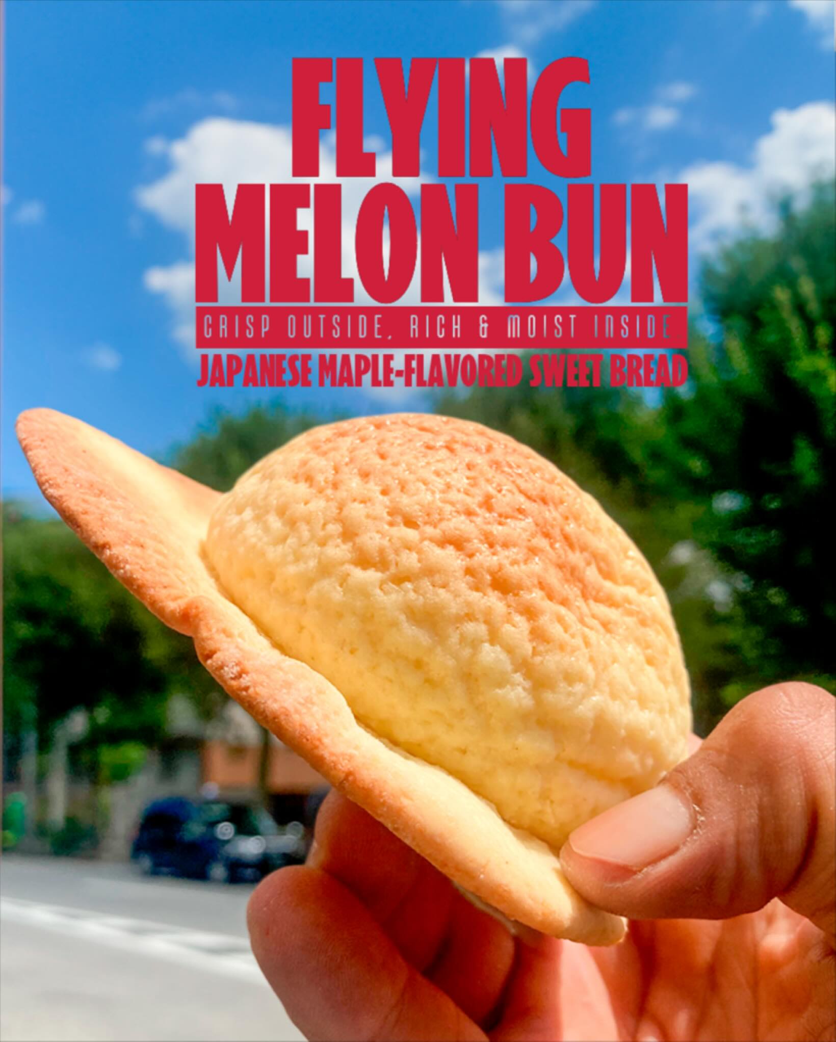 LA VIGNE AKIKO ラ ヴィーニュ アキコ