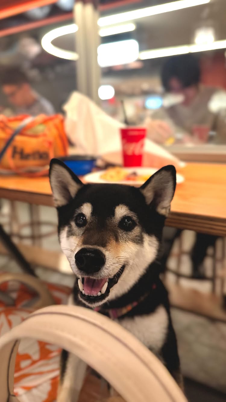 アジアンビストロDai 二子玉川店